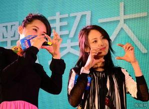 娱乐圈最新爆料许晴视频,娱乐圈最新爆料引发热议